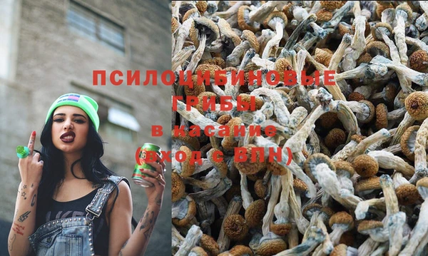 кокаин премиум Няндома