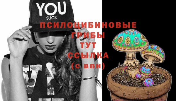 кокаин премиум Няндома