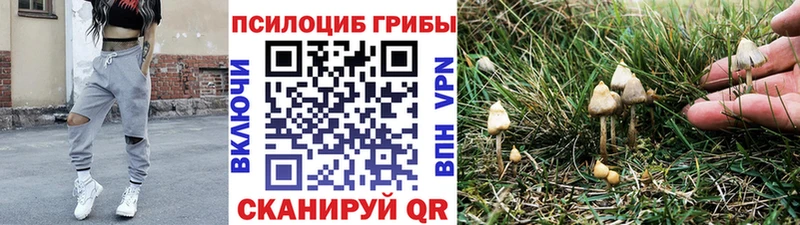 Купить  Серов  Псилоцибиновые грибы мицелий 